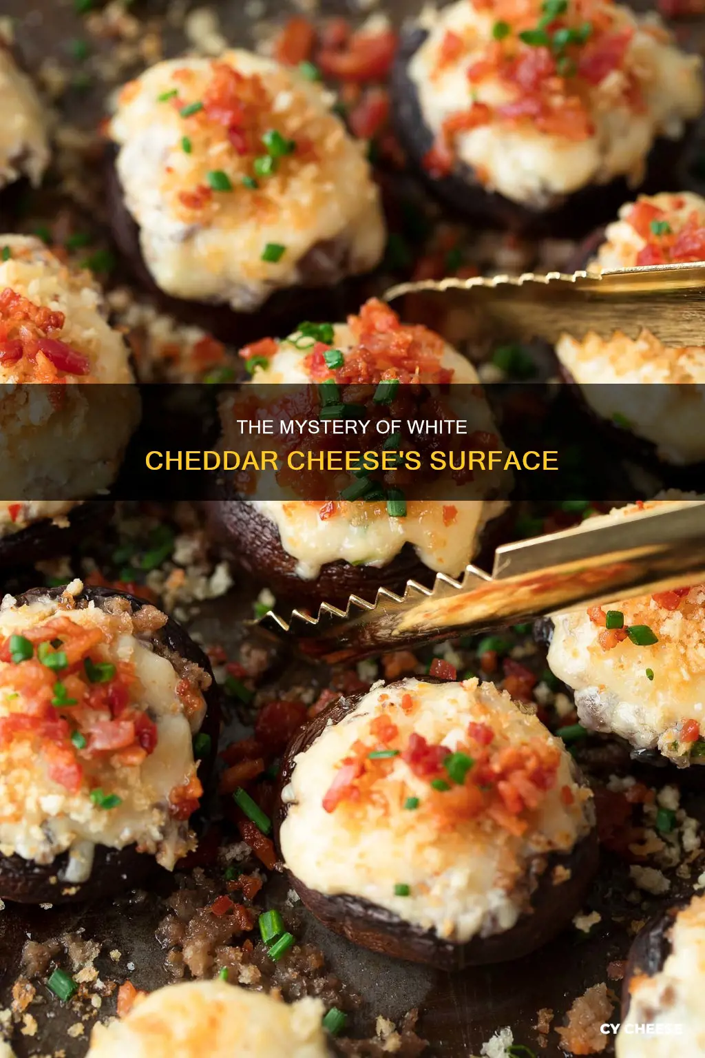 what is the white stuff on my cheddar cheese