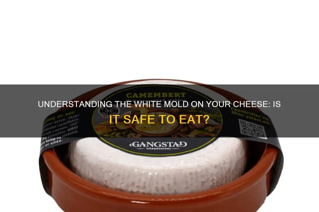 what is the white stuff on my cheese