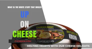 Understanding the White Mold on Cheese: Causes and Safety Explained