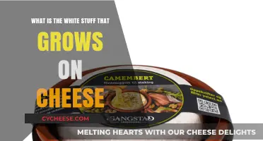 Understanding the White Mold on Cheese: Is It Safe to Eat?