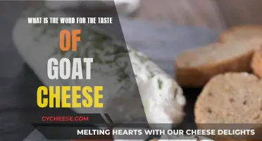 Unraveling the Taste of Goat Cheese: A Culinary Adventure