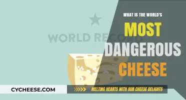 The World's Deadliest Cheese: Uncovering the Perilous Truth