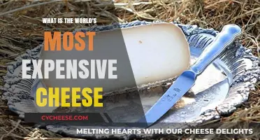 The World's Priciest Cheese: A Luxurious and Rare Delicacy