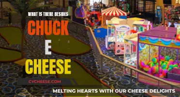 Chuck E. Cheese Alternatives: Exploring Family Fun Options