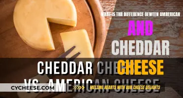 American vs. Cheddar: Unraveling the Cheesy Differences