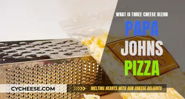 Papa John's Three-Cheese Blend: A Pizza to Remember