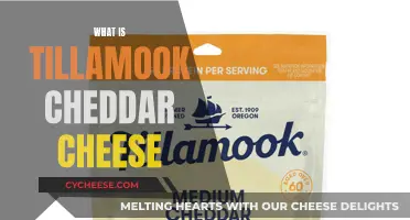 Tillamook Cheddar: A Creamy, Rich, and Iconic Oregon Cheese