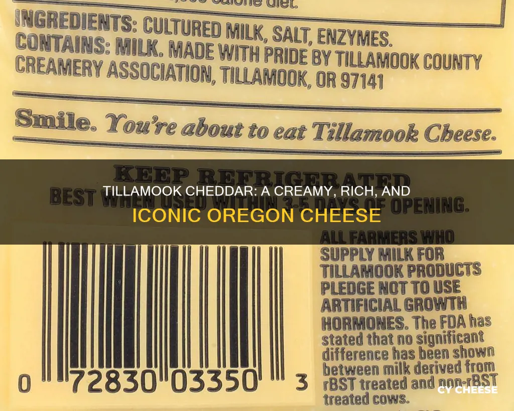 what is tillamook cheddar cheese