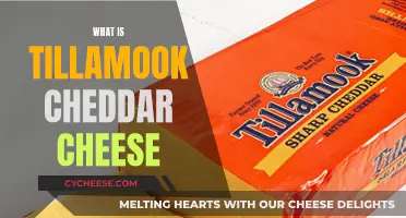 The Unique Taste of Tillamook Cheddar Cheese
