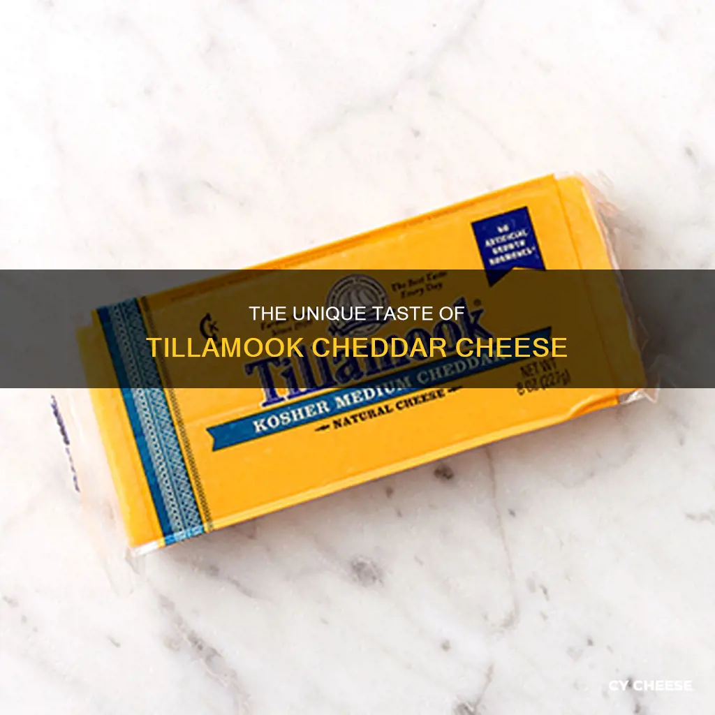 what is tillamook cheddar cheese
