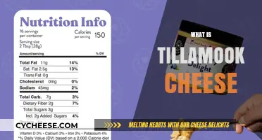 Discover the Creamy Delight: What is Tillamook Cheese?