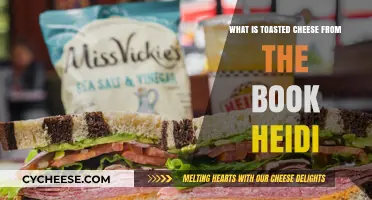 Heidi's Comfort Food: Exploring the Classic Toasted Cheese Recipe