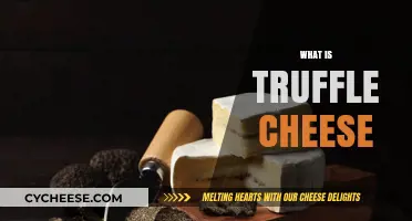 Discover the Rich, Earthy Delight of Truffle Cheese: A Gourmet Guide