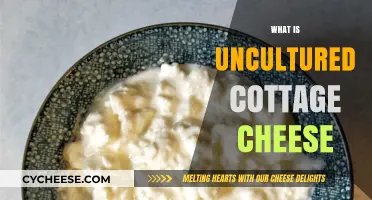 Uncultured Cottage Cheese: Understanding Its Unique Texture and Flavor Profile