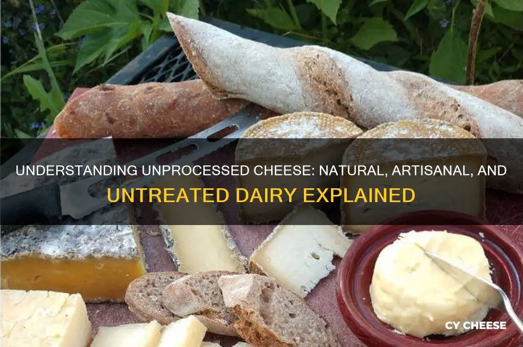 what is unprocessed cheese