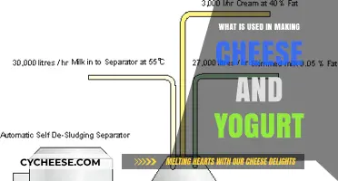 The Art of Fermentation: Cheese and Yogurt Making