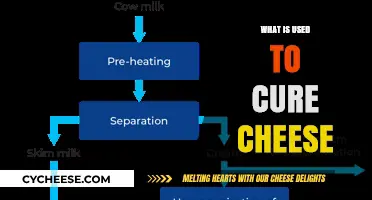 The Art of Curing Cheese: Salts and Bacteria