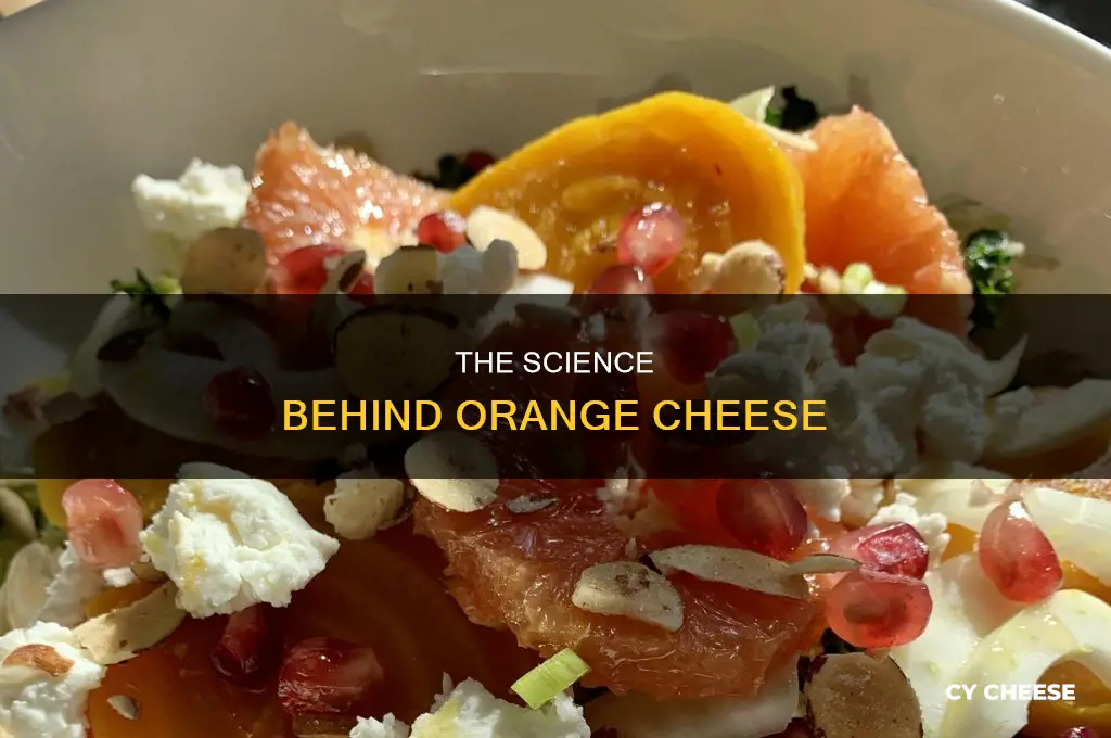 what is used to make cheese orange