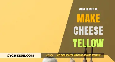 The Science Behind Yellow Cheese