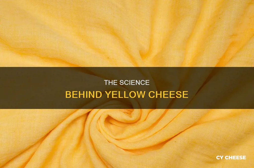 what is used to make cheese yellow