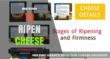 The Art of Cheese Ripening: Understanding the Process