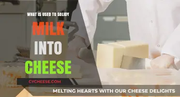 The Magic of Rennet: Solidifying Milk's Transformation to Cheese