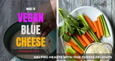 Vegan Blue Cheese: A Delicious, Dairy-Free Alternative