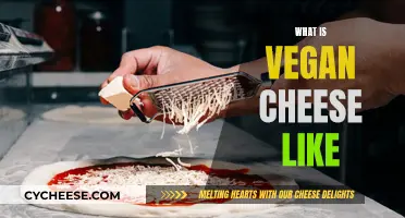 Vegan Cheese: A Tasty, Plant-Based Alternative to Dairy