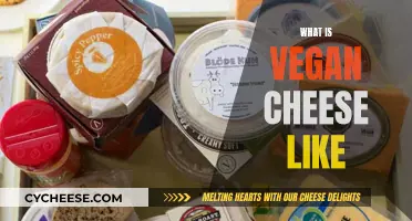 Vegan Cheese: Taste and Texture Explored