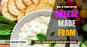 Discover the Plant-Based Ingredients in Vegan Cottage Cheese
