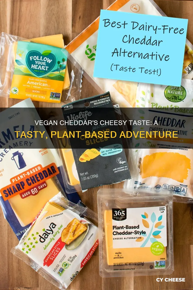 what is vegan diet cheddar cheese taste like