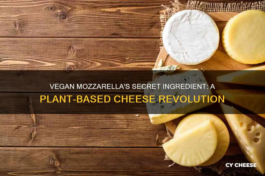 what is vegan mazzarella cheese made of