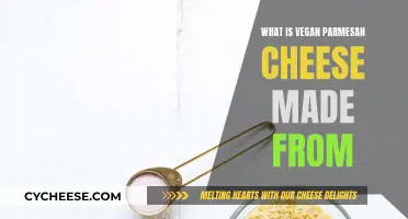 Vegan Parmesan Cheese: What's in This Dairy-Free Delicacy?