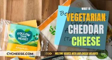 Exploring the Creamy World of Vegan Cheddar: A Guide