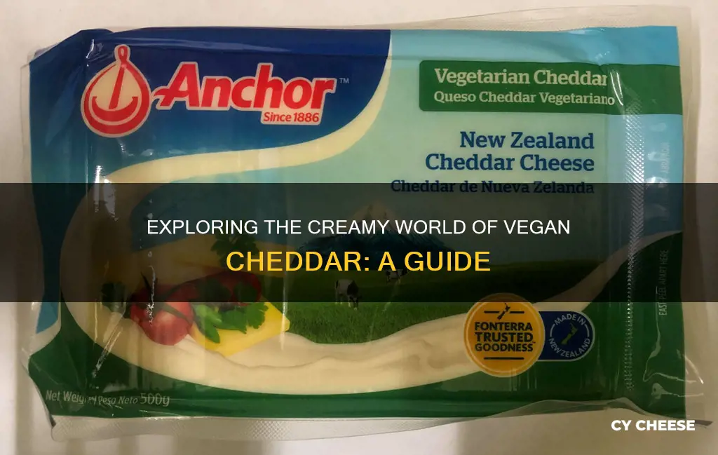 what is vegetarian cheddar cheese