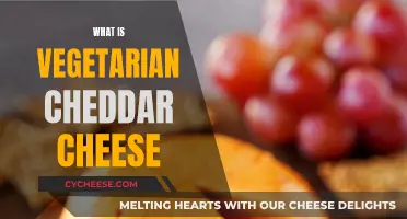 Vegetarian Cheddar Cheese: What It Is and How It's Made