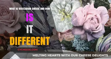 Vegetarian Cheese Explained: Ingredients, Production, and Key Differences