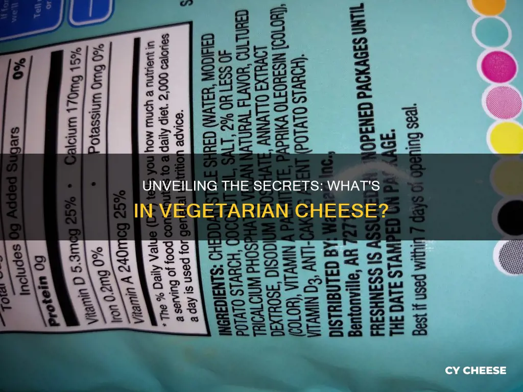 what is vegetarian cheese made from