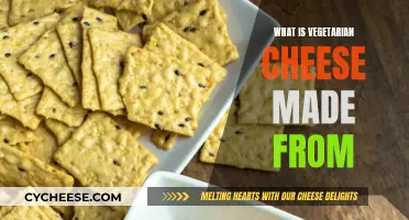 Vegetarian Cheese: How It's Made and What's It Made From