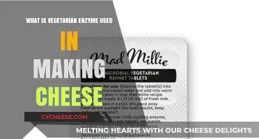 The Magic of Vegetarian Enzymes in Cheesemaking