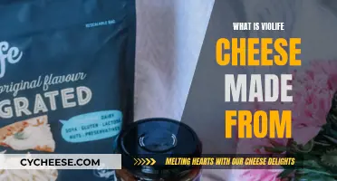 Violife Cheese: What's It Made Of?