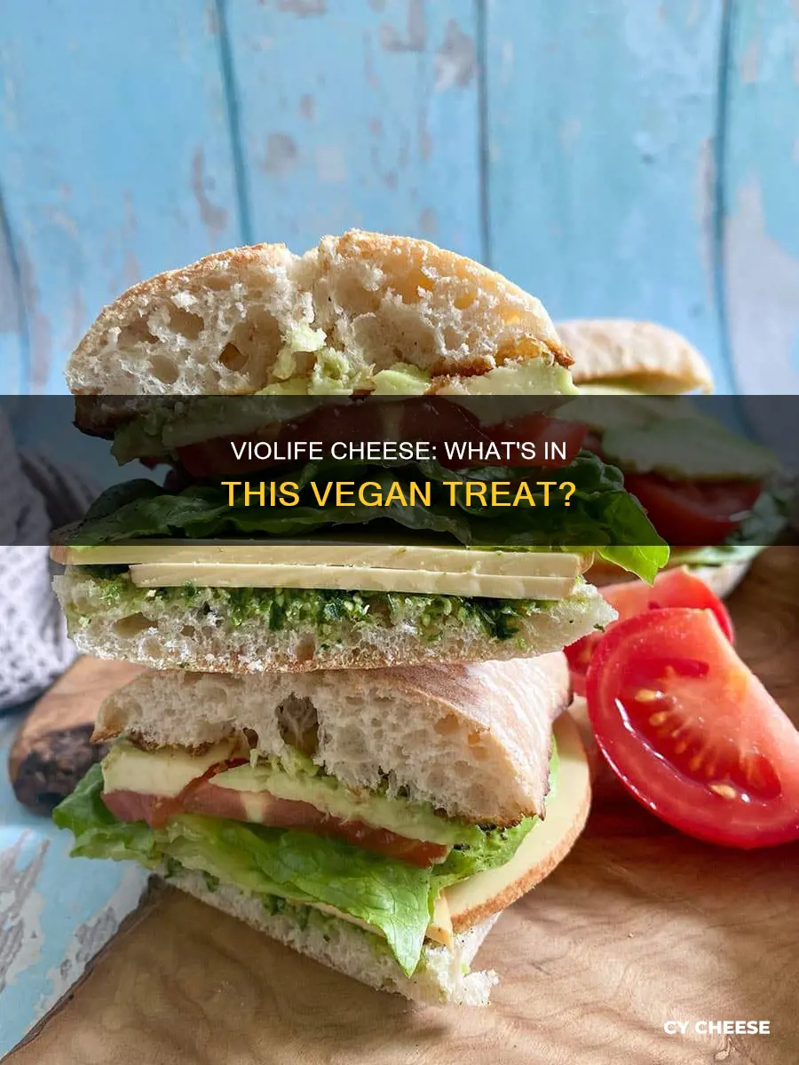 what is violife cheese made of