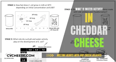 Unveiling the Magic: Water Activity's Role in Cheddar's Creamy Texture