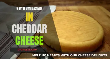 Water Activity: The Science Behind Cheddar Cheese