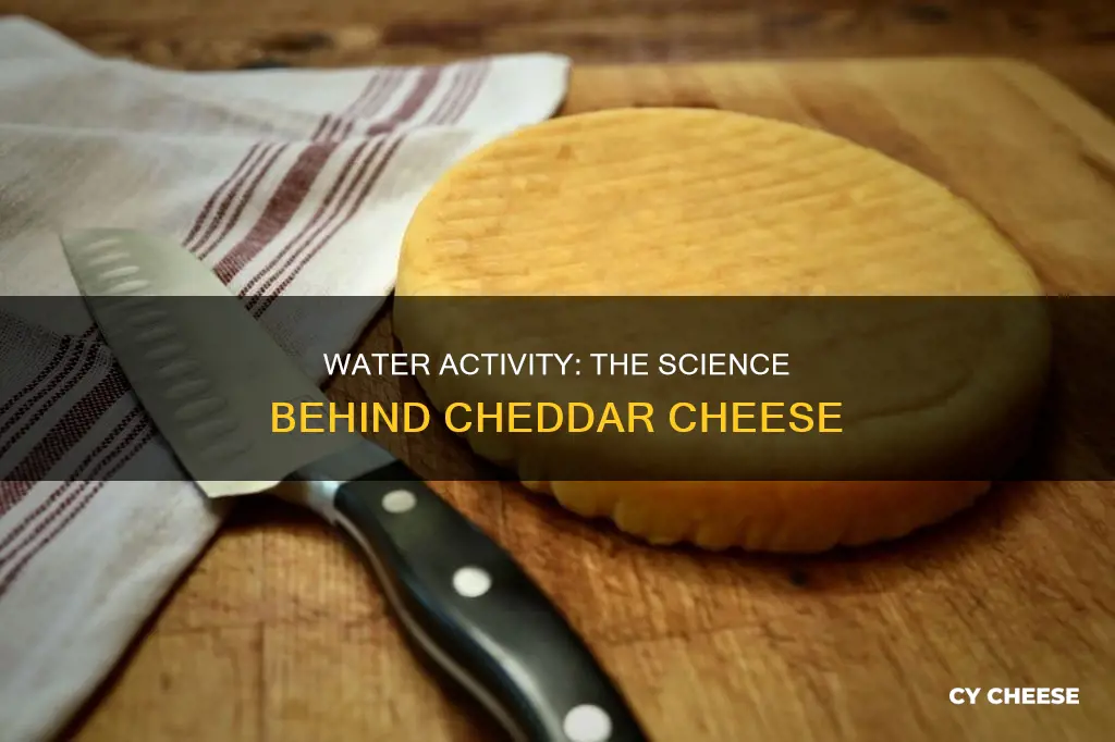 what is water activity in cheddar cheese