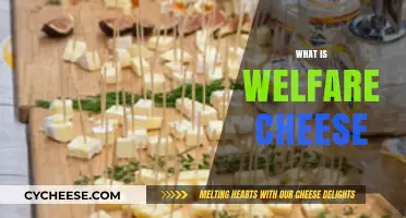 Understanding Welfare Cheese: History, Impact, and Modern-Day Significance