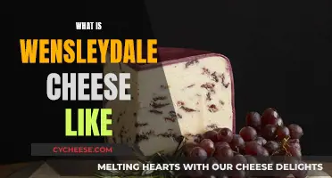 Wensleydale Cheese: A Tasty Adventure