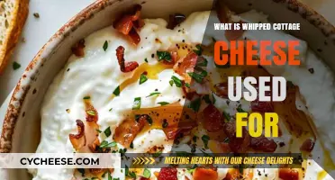 Whipped Cottage Cheese Uses: Creative Recipes and Culinary Ideas