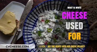 White Cheese: Uses and Applications