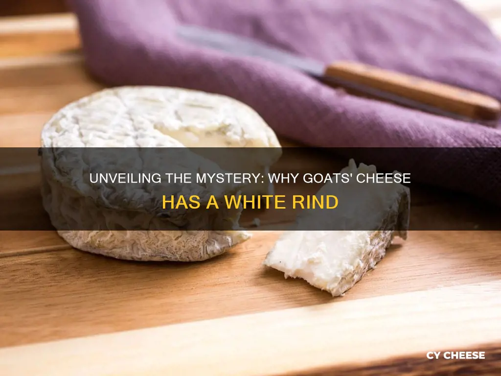 what is white rind on goats cheese